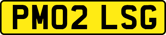 PM02LSG