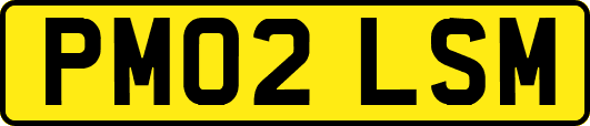 PM02LSM