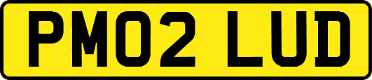 PM02LUD