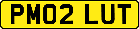 PM02LUT