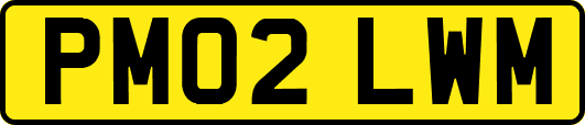 PM02LWM