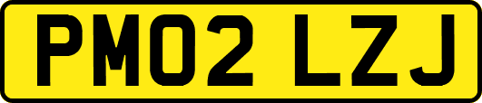 PM02LZJ
