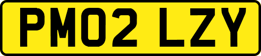 PM02LZY