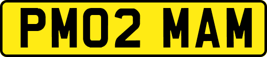 PM02MAM