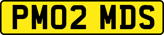 PM02MDS