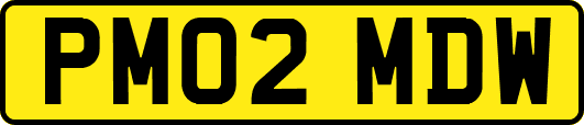 PM02MDW