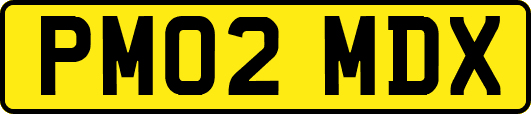 PM02MDX