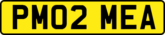 PM02MEA