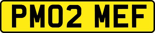 PM02MEF