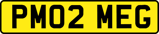 PM02MEG