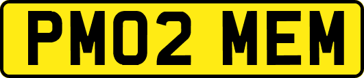 PM02MEM