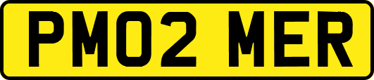PM02MER