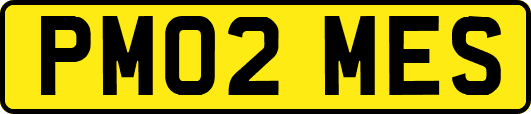 PM02MES