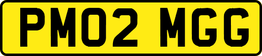 PM02MGG