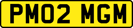 PM02MGM