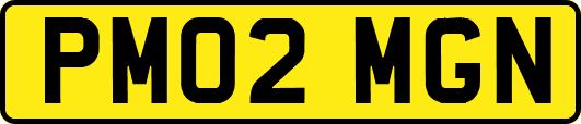 PM02MGN