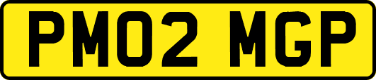 PM02MGP