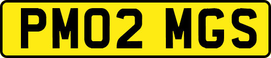 PM02MGS