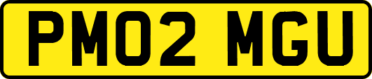 PM02MGU