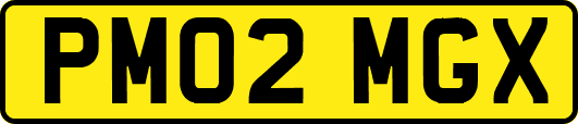 PM02MGX