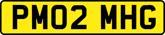 PM02MHG