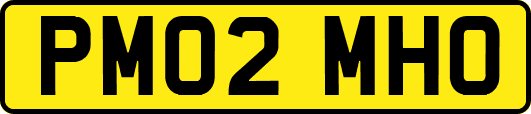 PM02MHO