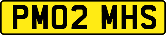 PM02MHS