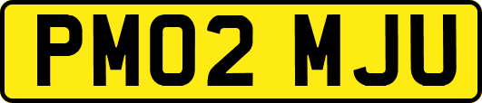 PM02MJU