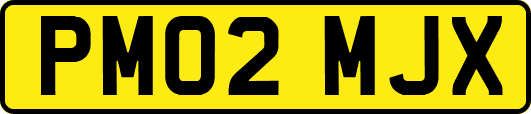 PM02MJX