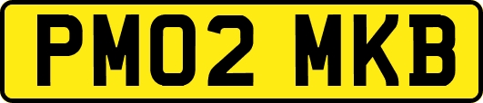 PM02MKB
