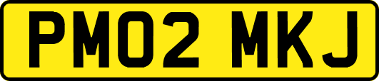 PM02MKJ