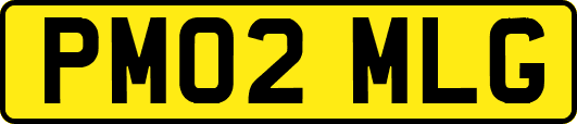 PM02MLG