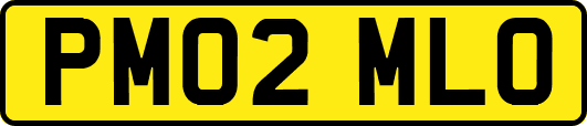 PM02MLO