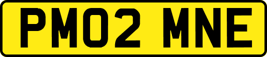 PM02MNE