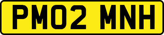PM02MNH