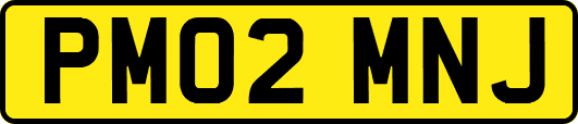 PM02MNJ
