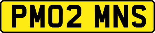 PM02MNS
