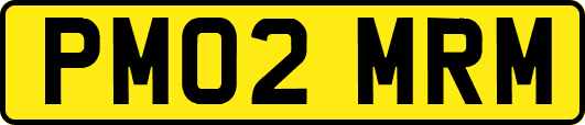 PM02MRM