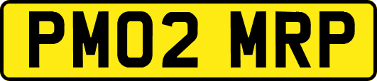 PM02MRP