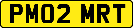 PM02MRT