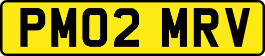 PM02MRV