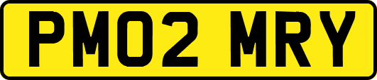 PM02MRY