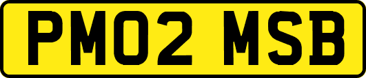 PM02MSB