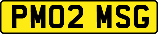 PM02MSG
