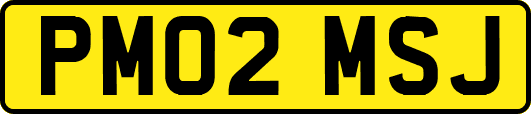 PM02MSJ