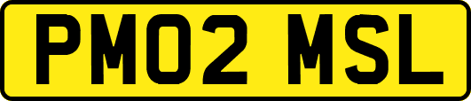 PM02MSL