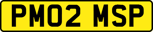 PM02MSP