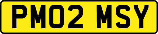 PM02MSY
