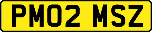 PM02MSZ