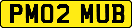 PM02MUB